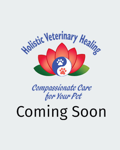 Coming-Soon Holistic Veterinary Healing Coming Soon